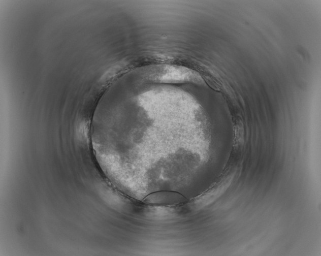 X0000112100286200909011131