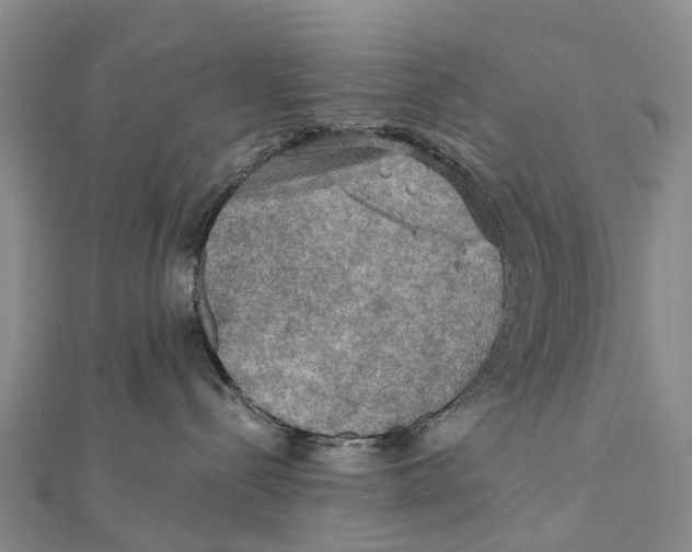 X0000112100288200909011131