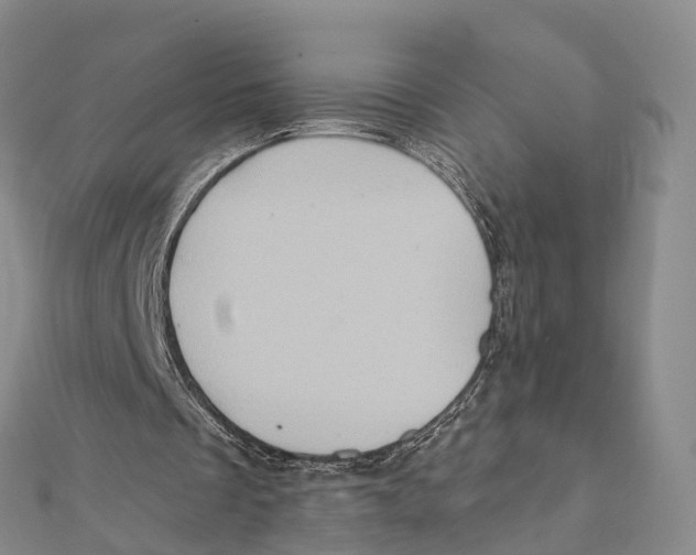 X0000112100289200909011130