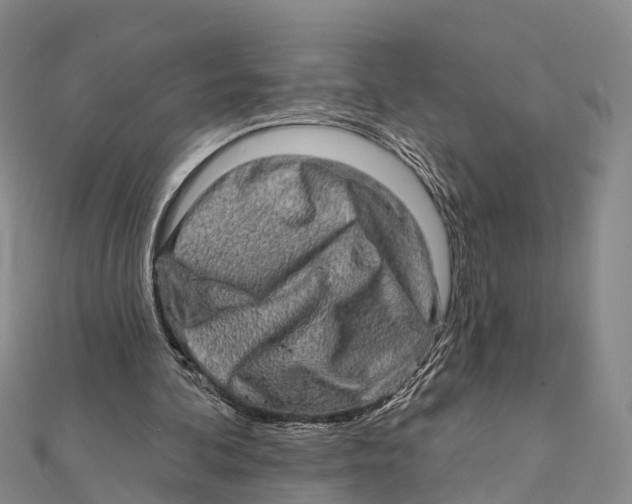 X0000112100292200909011130