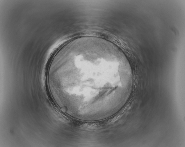 X0000112100294200909011130