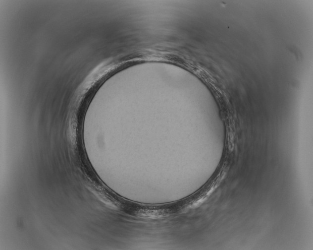 X0000112100295200909011130