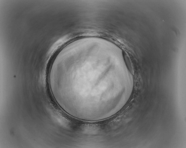 X0000112100296200909011130