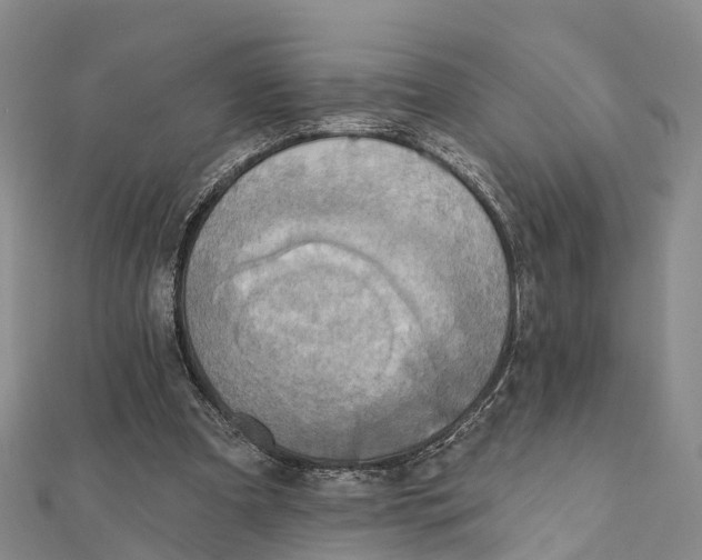 X0000112100297200909011130