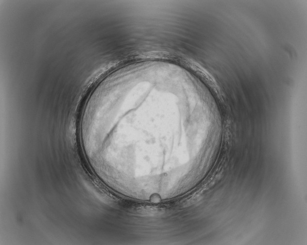 X0000112100298200909011130