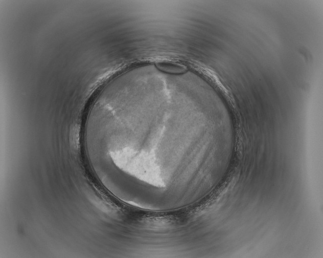 X0000112100299200909011130