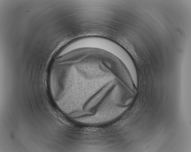 X0000112100300200909011130