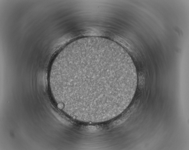 X0000112100302200909011130