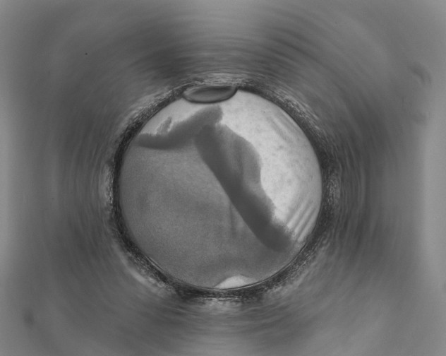 X0000112100303200909011130