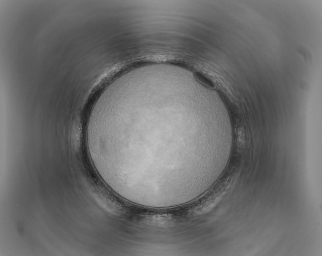 X0000112100304200909011130