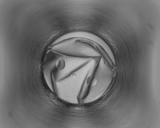 X0000112100308200909011130