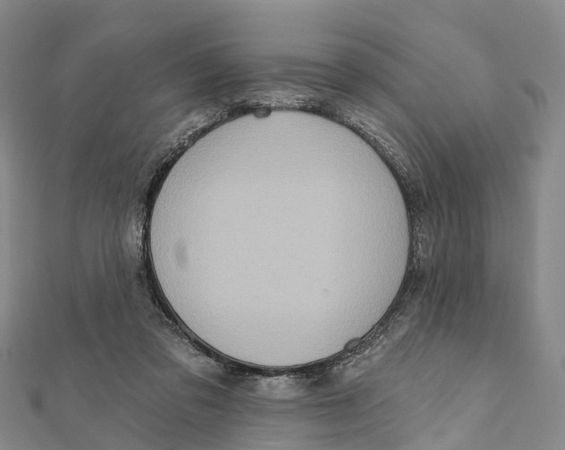 X0000112100309200909011130