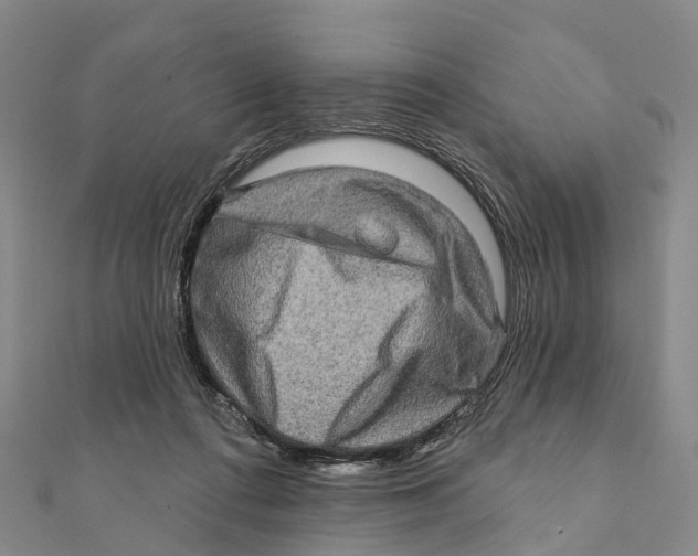 X0000112100312200909011130