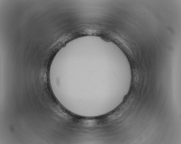 X0000112100313200909011130