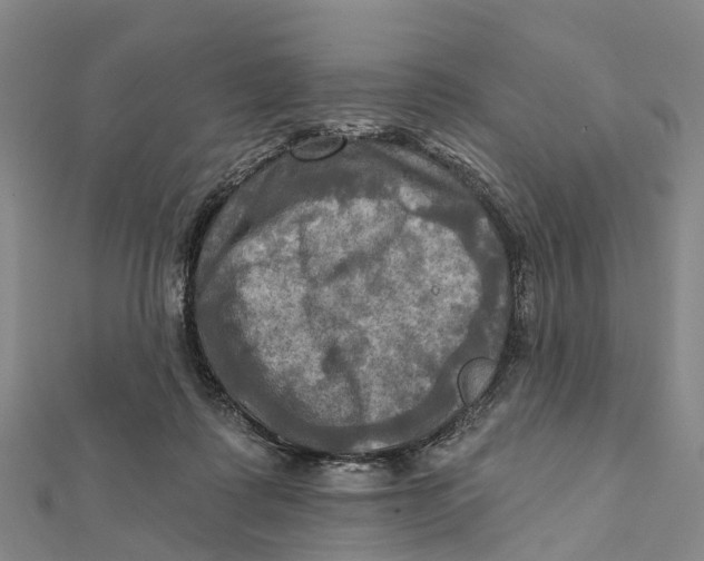 X0000112100315200909011130