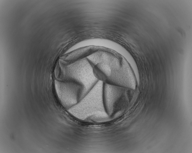 X0000112100320200909011130