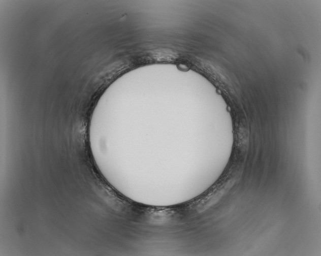 X0000112100321200909011130