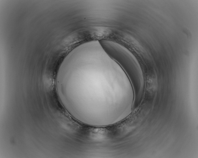 X0000112100324200909011130