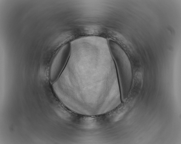 X0000112100325200909011130