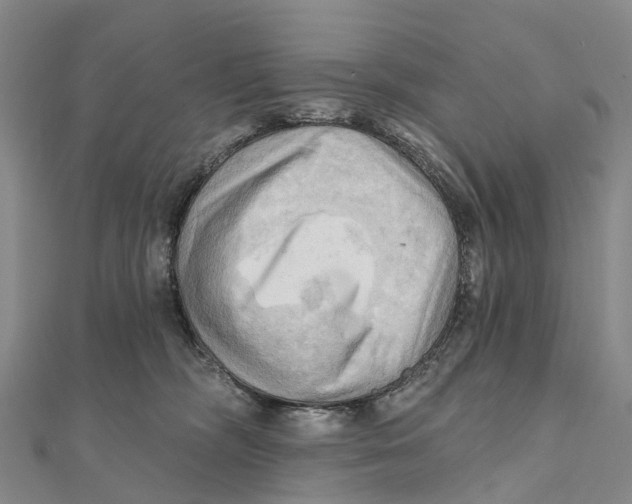 X0000112100326200909011130