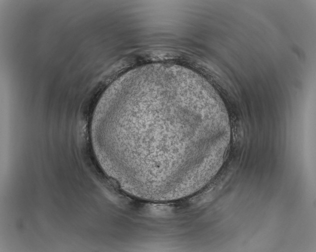 X0000112100327200909011130