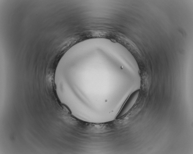 X0000112100329200909011130