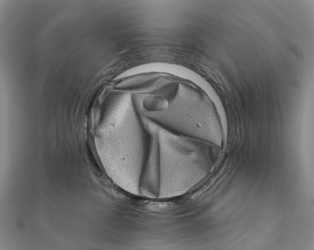 X0000112100332200909011130