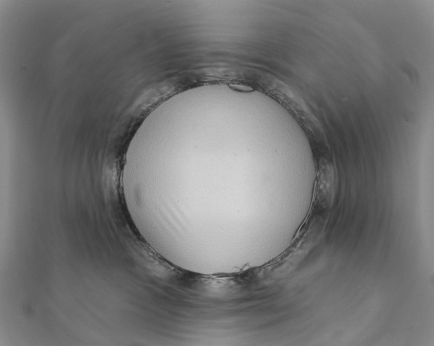 X0000112100333200909011130