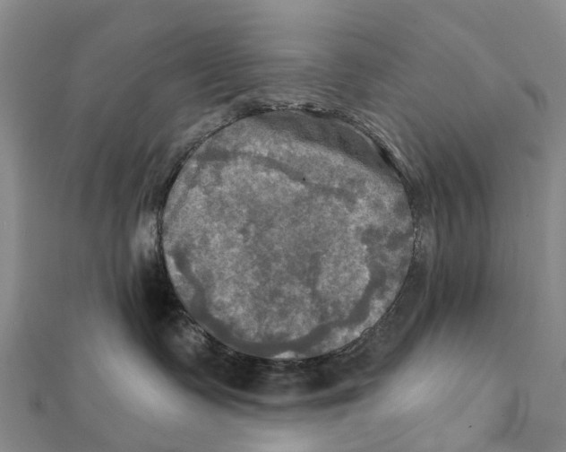 X0000112100335200909011130