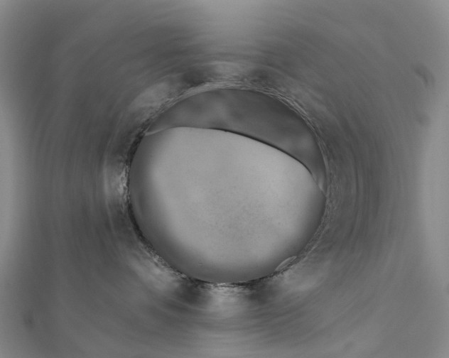 X0000112100336200909011129