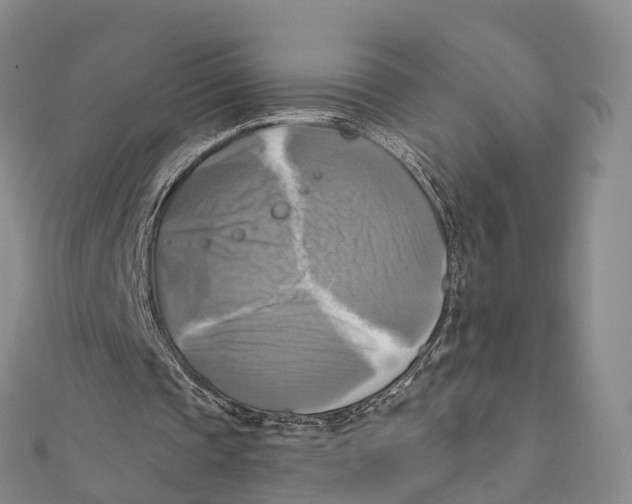 X0000112100337200909011129