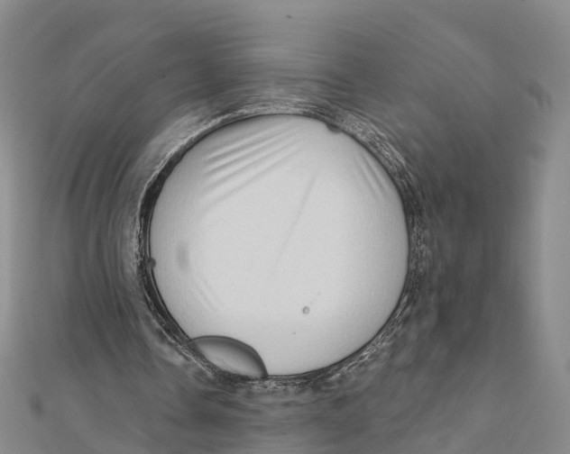 X0000112100338200909011129