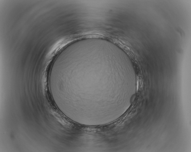 X0000112100339200909011129