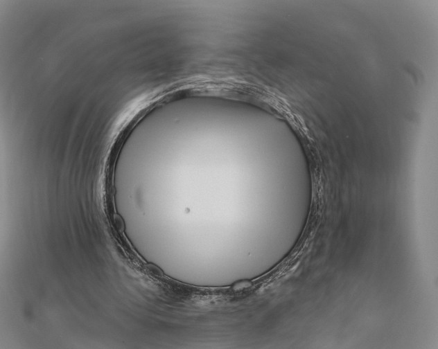 X0000112100340200909011129