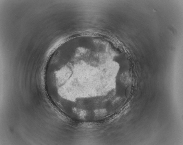 X0000112100341200909011129