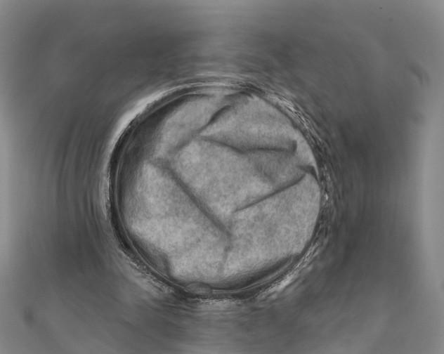 X0000112100342200909011129