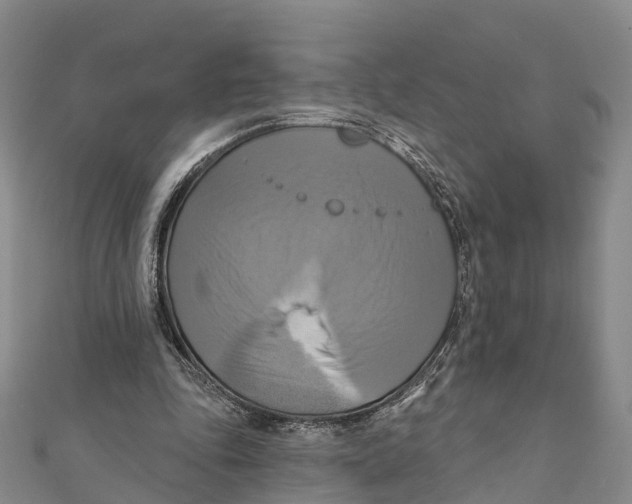 X0000112100343200909011129