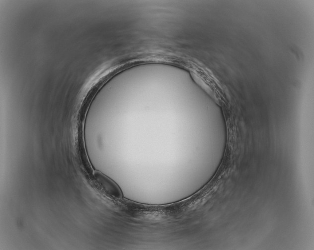 X0000112100344200909011129