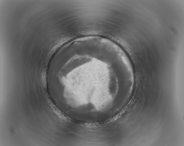 X0000112100345200909011129