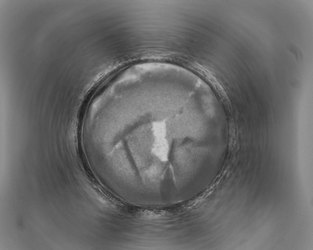 X0000112100346200909011129