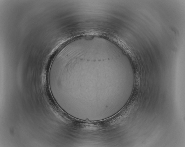 X0000112100347200909011129