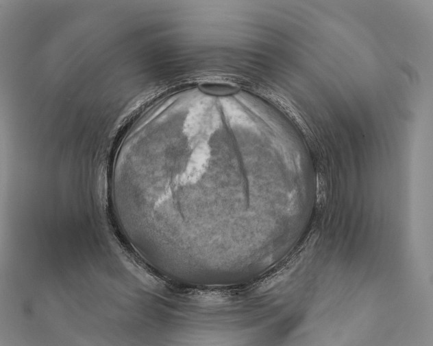 X0000112100349200909011129