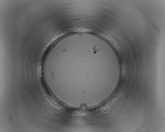 X0000112100351200909011129