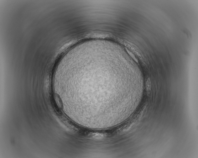 X0000112100352200909011129