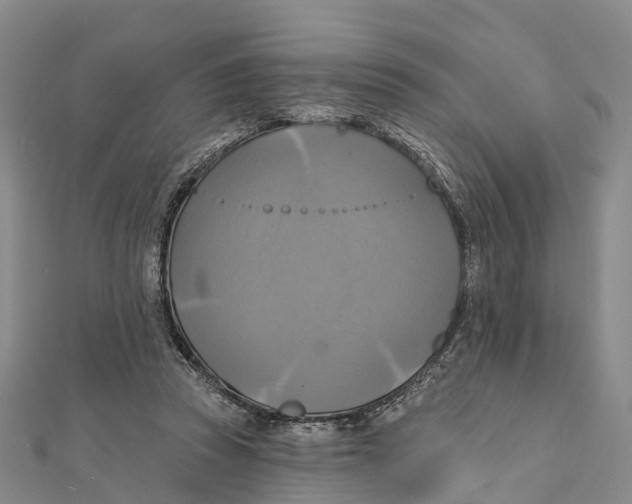 X0000112100353200909011129