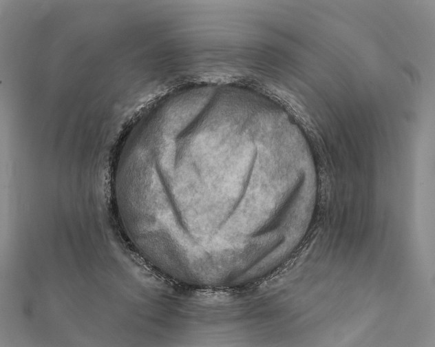 X0000112100354200909011129