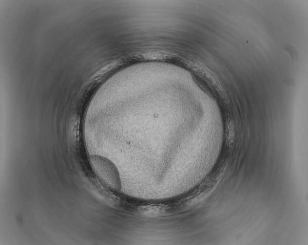 X0000112100356200909011129