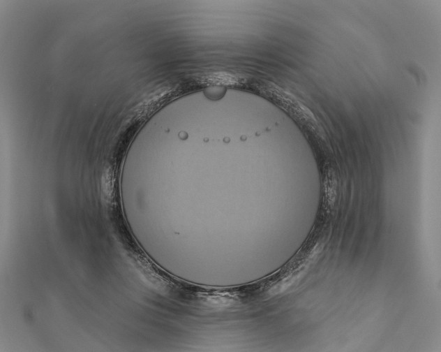 X0000112100359200909011129