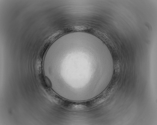 X0000112100360200909011129