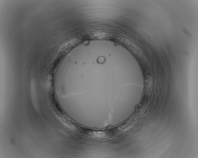 X0000112100361200909011129